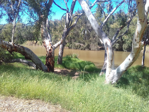 Dongara Police