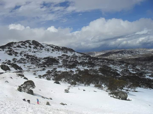 Charlotte Pass Oversnow