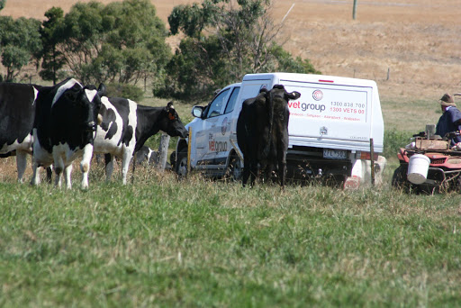The Vet Group | Timboon