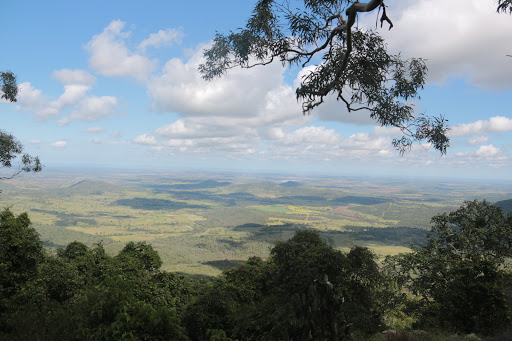 Bunya Mountains National Park