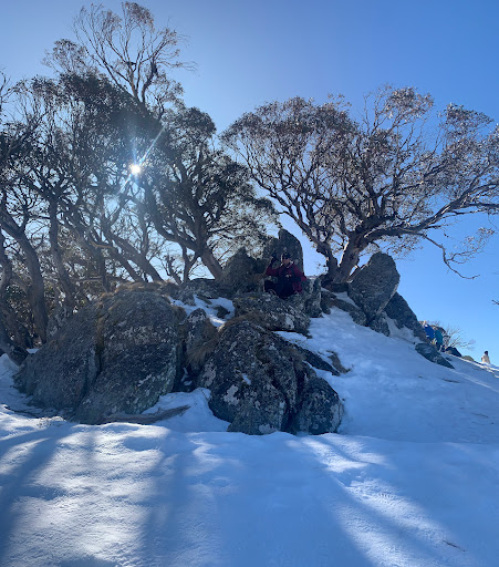 Australia Post - Perisher Valley Lpo