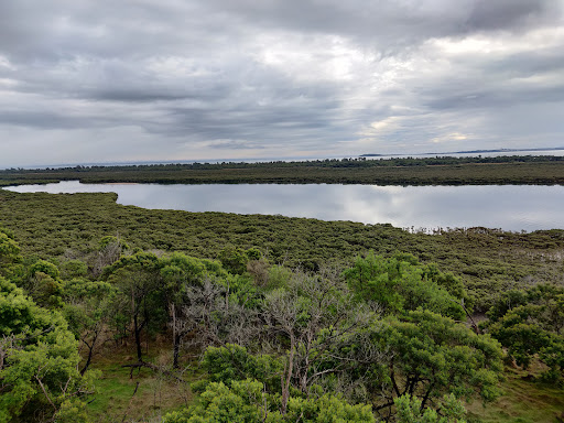 Rhyll Inlet